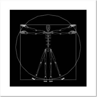 Vitruvian Biped Posters and Art